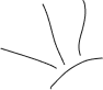 shape